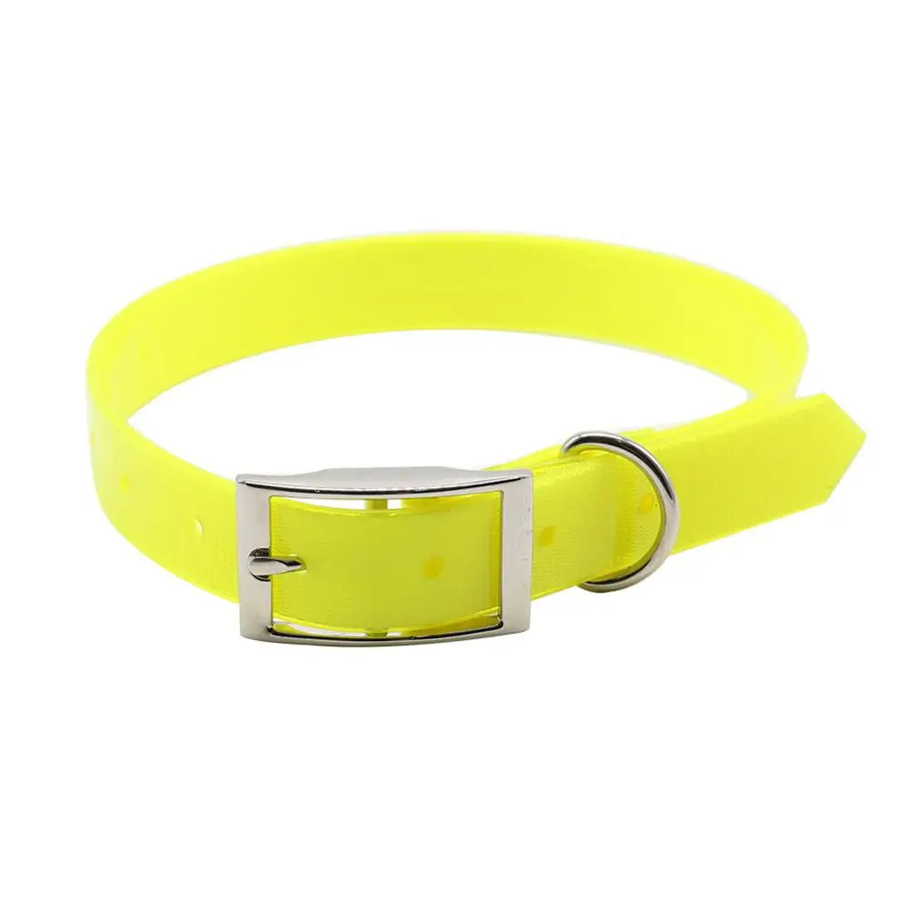 Collier imperméable et anti-odeur pour chat