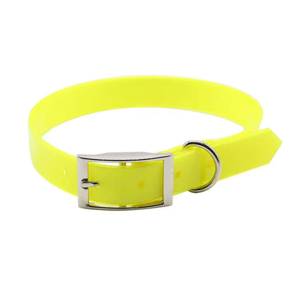 Collier imperméable et anti-odeur pour chat