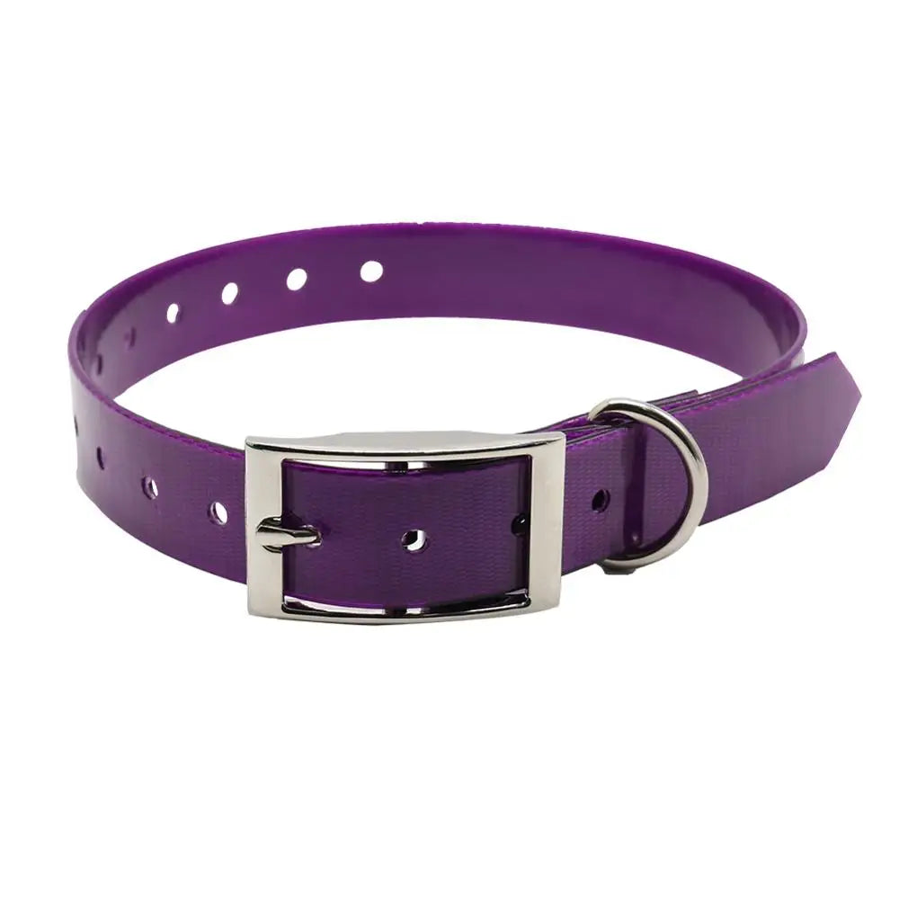 Collier imperméable et anti-odeur pour chat