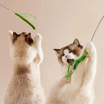 Canne à plumes flexible pour chat
