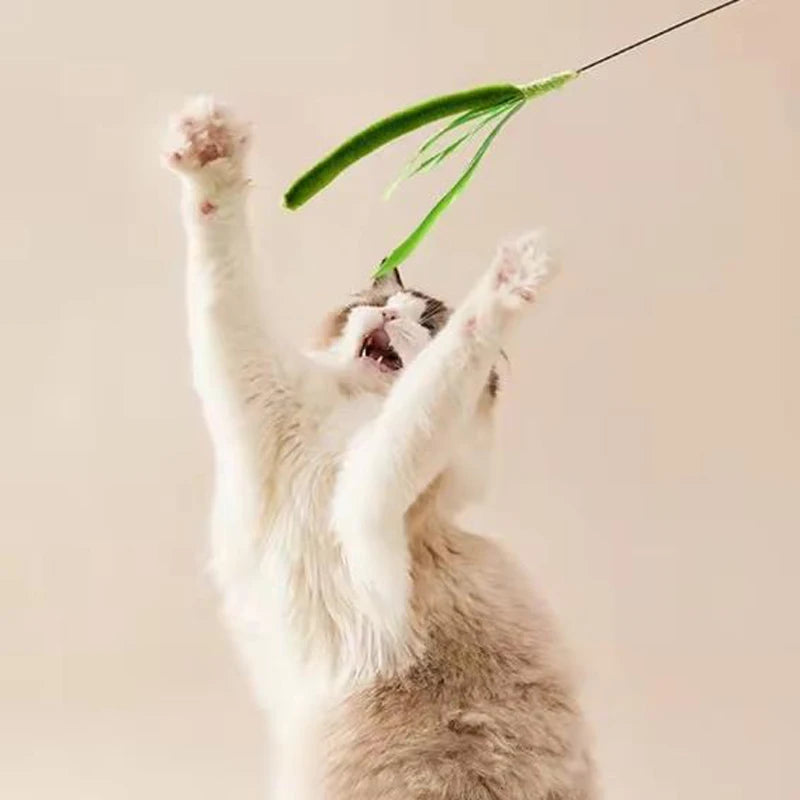 Canne à plumes flexible pour chat
