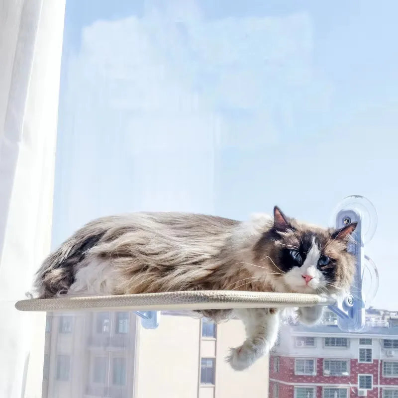 Hamac de fenêtre à ventouses pour chat