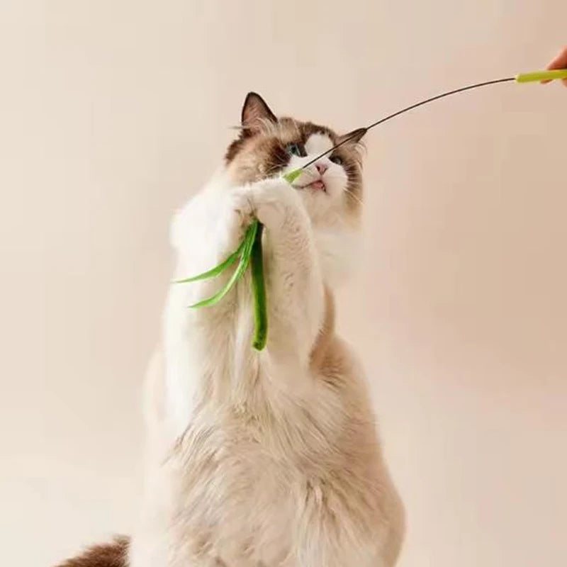 Canne à plumes flexible pour chat