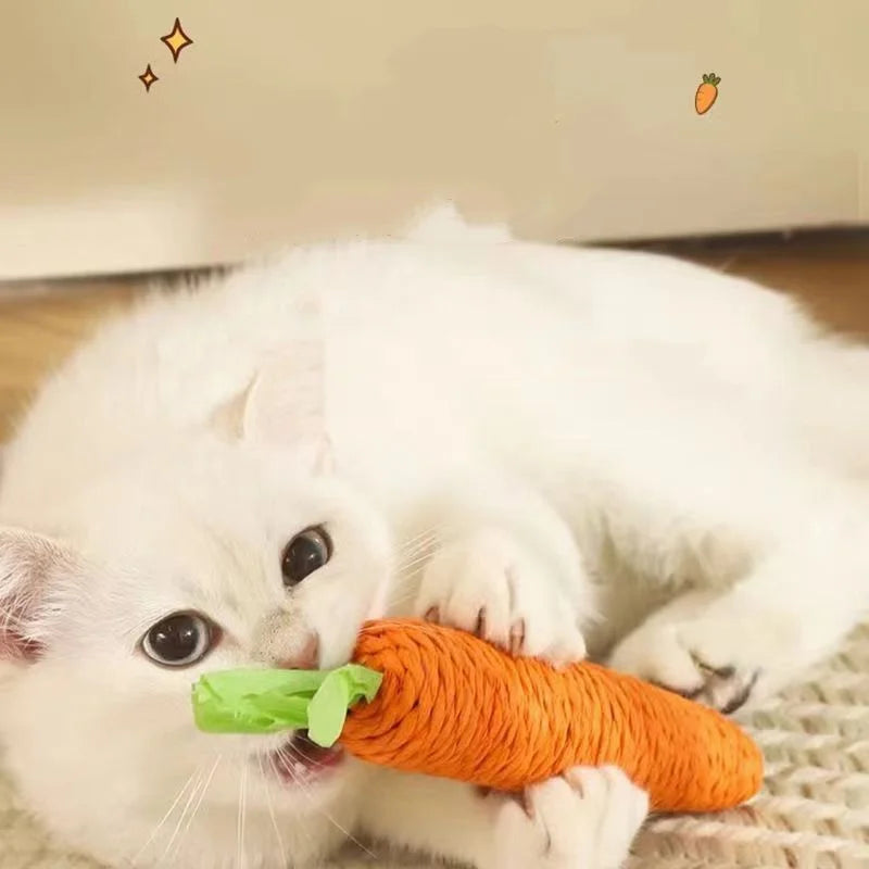Jouet carotte mordant et sonore pour chat