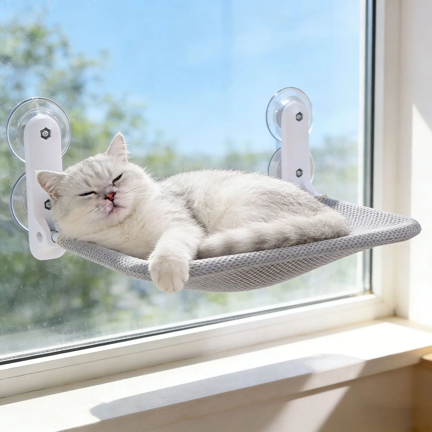 Hamac de fenêtre à ventouses pour chat