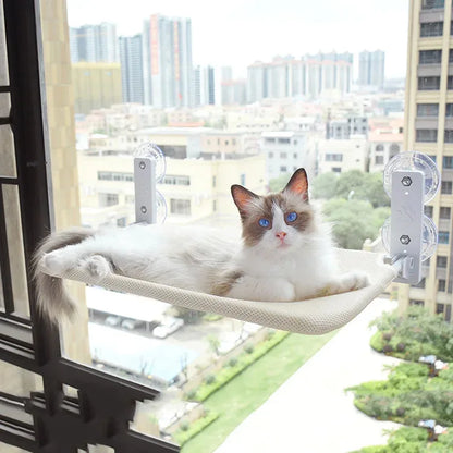 Hamac de fenêtre à ventouses pour chat