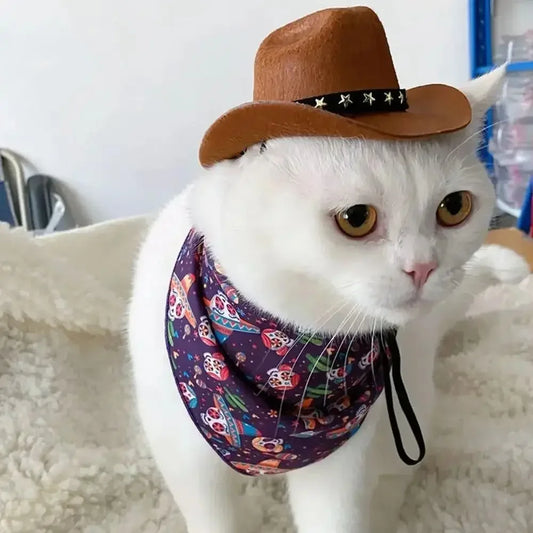 Chapeau cowboy ajustable pour chat